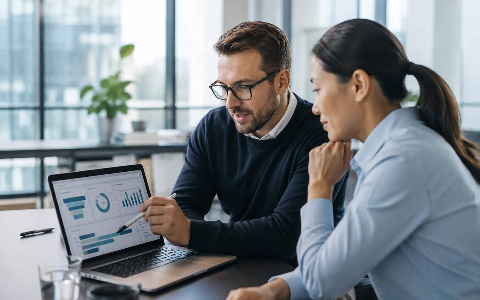 Custom CRM and Sales Pipeline Dashboard portfolio project preview